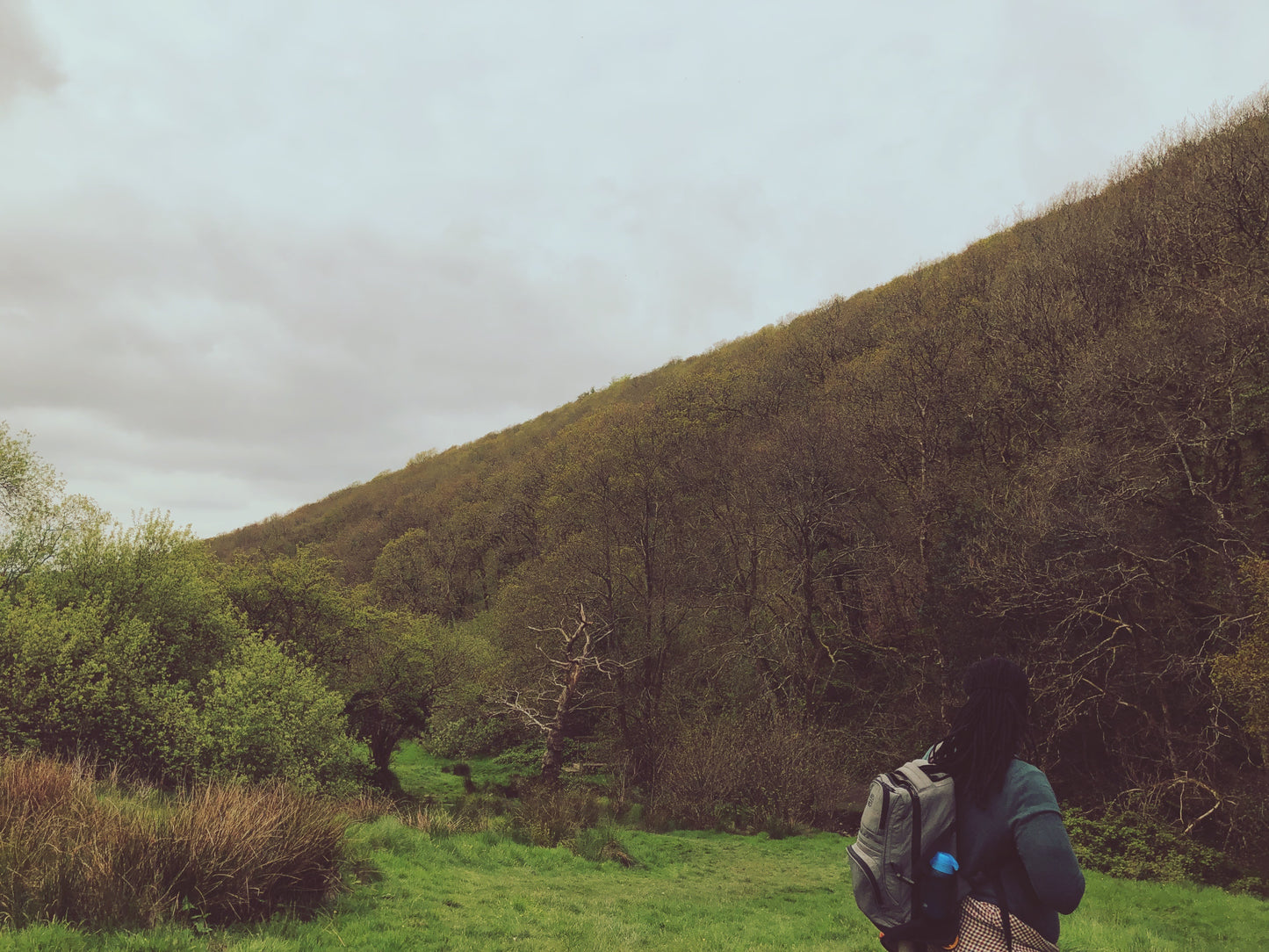 Support Earths Farm – Help Us Grow a Sustainable Future